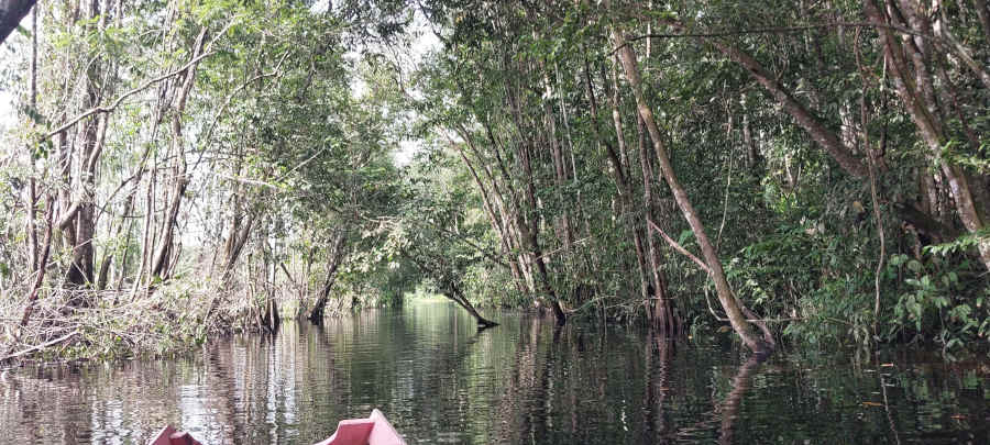 igarape miri para brasil