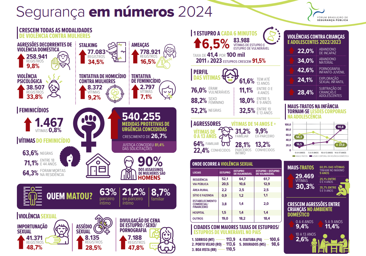 infografico seguranca publica fbsp2024